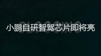 小鹏自研智驾芯片即将亮相 何小鹏：一定不会让大家失望